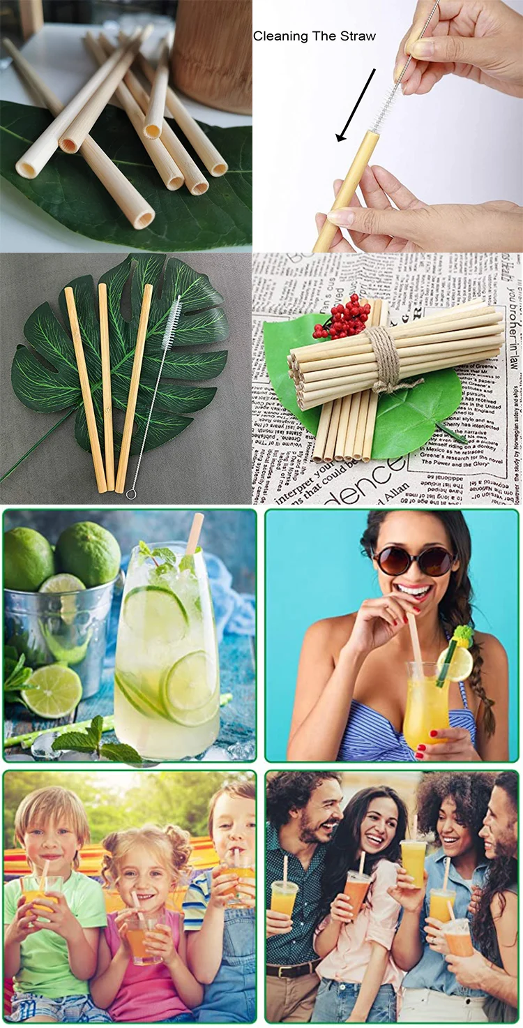 Reed Reusable Straws